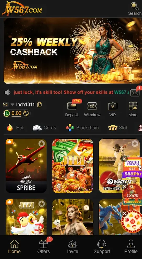 W567 Game