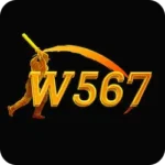 W567 Game