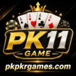 PK11 Game