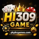 HI309 Game